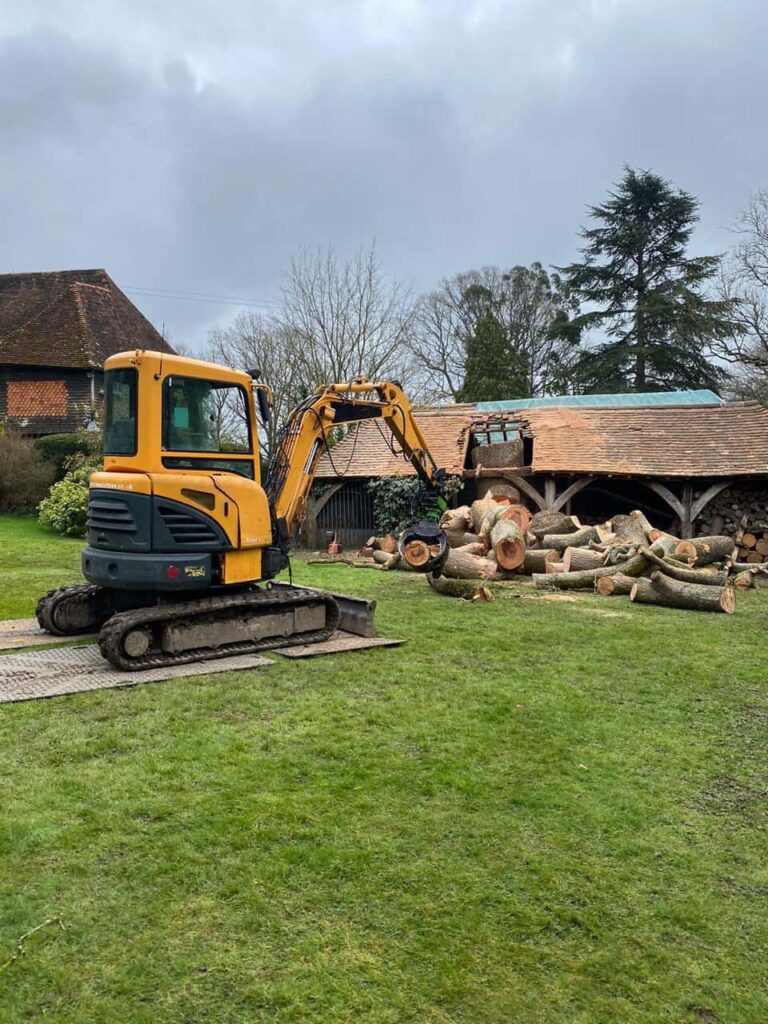 This is a photo of a tree which has grown through the roof of a barn that is being cut down and removed. There is a digger that is removing sections of the tree as well. Flitwick Tree Surgeons
