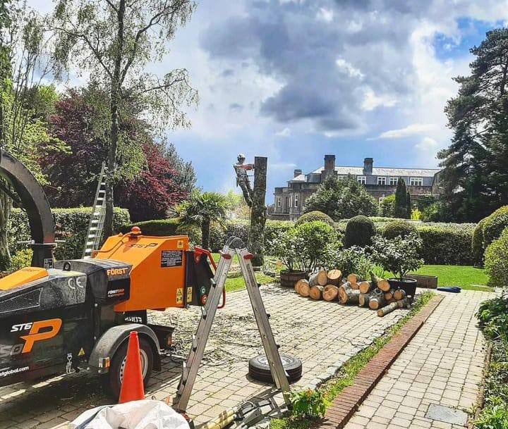 This is a photo of a tree being felled. A tree surgeon is currently removing the last section, the logs are stacked in a pile. Flitwick Tree Surgeons