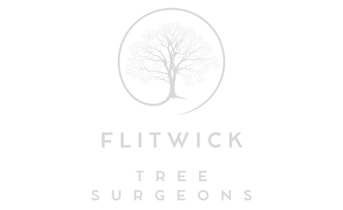 Flitwick Tree Surgeons